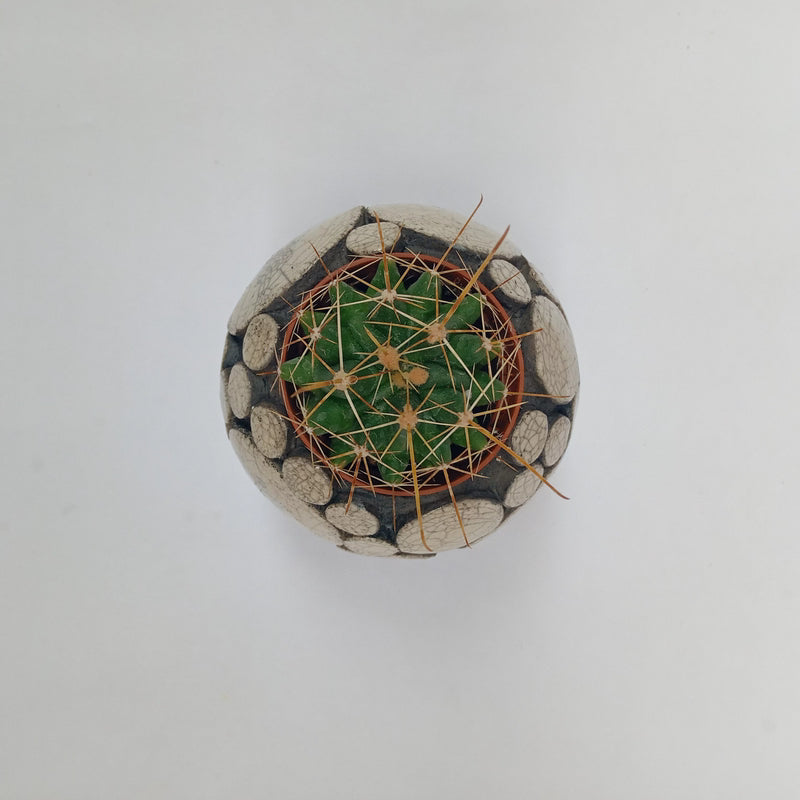 FILICUDI MODEL VASE