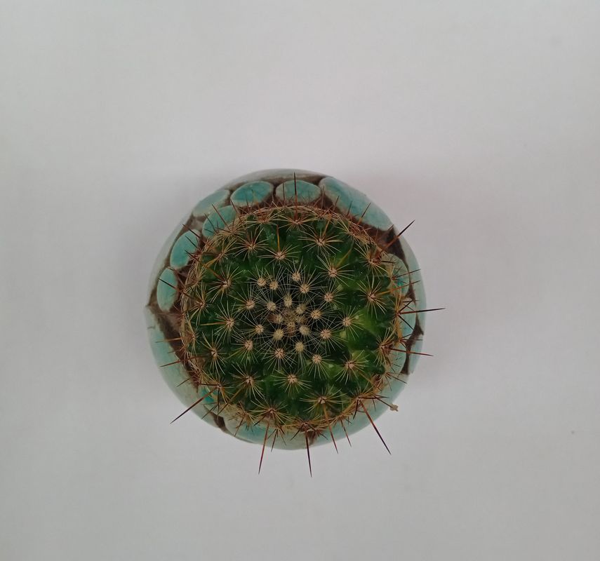 VASO MODELLO FILICUDI